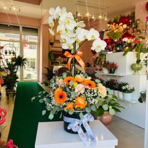 Çift Dal Orkide Aranjmanı