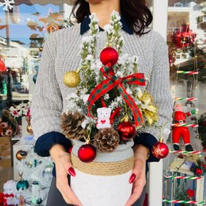 Midi Canlı Noel Ağacı