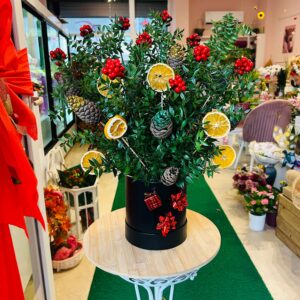 Kutuda Kokina Aranjmanı