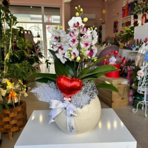 Büyük Seramik Saksıda 4 Dal Mini Orkide