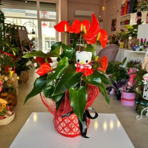 Saksıda Ayıcıklı Kırmızı Antoryum