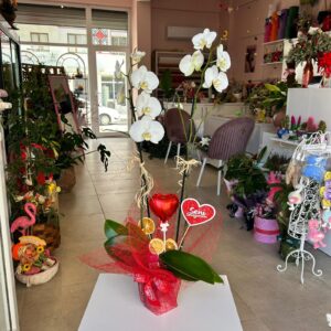 Seni Seviyorum Çift Dal Orkide