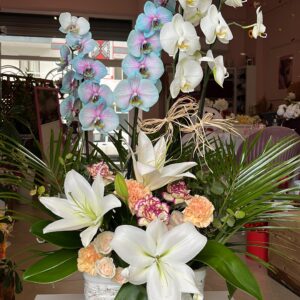 4 DAL ORKİDE ARANJMANI