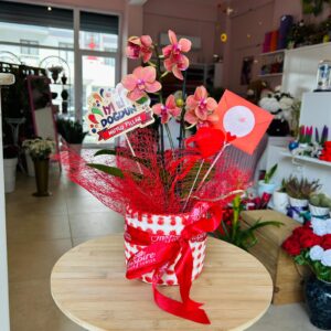 AUTUMN MİNİ ORKİDE